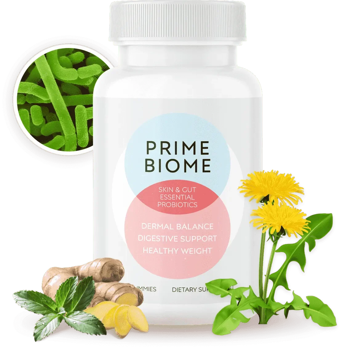 PrimeBiome buy